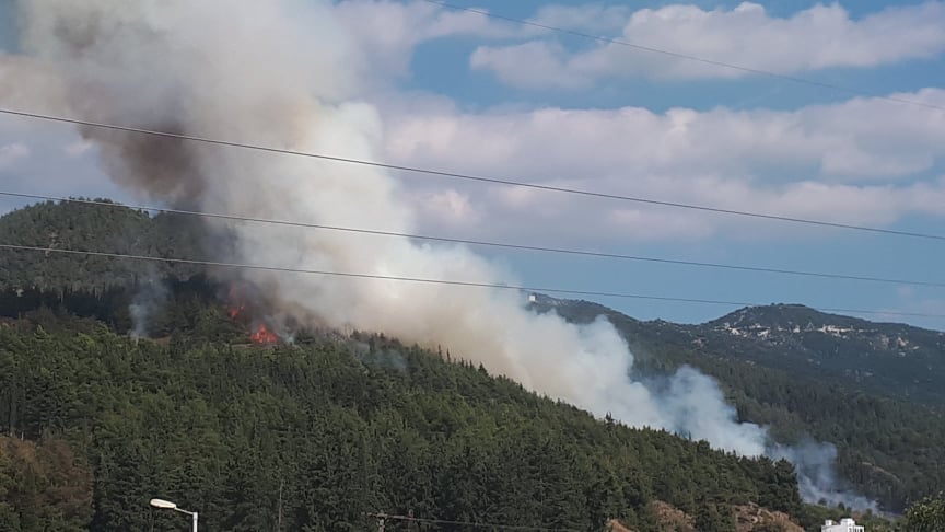 Πυρκαγιά σε δασική έκταση στην Ελασσόνα Λάρισας