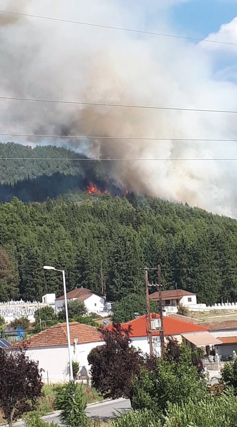 Πυρκαγιά σε δασική έκταση στην Ελασσόνα Λάρισας