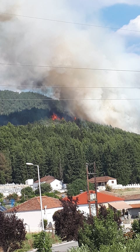 Πυρκαγιά σε δασική έκταση στην Ελασσόνα Λάρισας