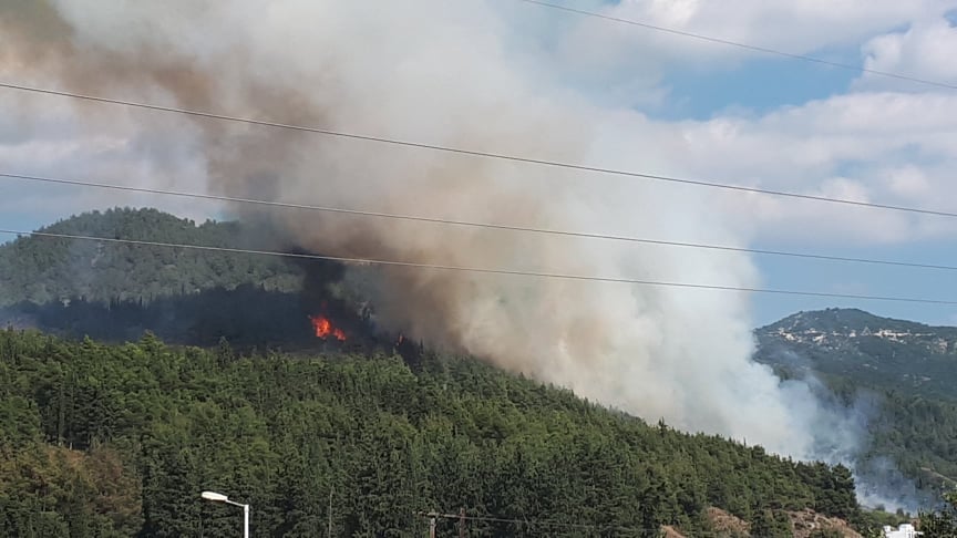 Πυρκαγιά σε δασική έκταση στην Ελασσόνα Λάρισας