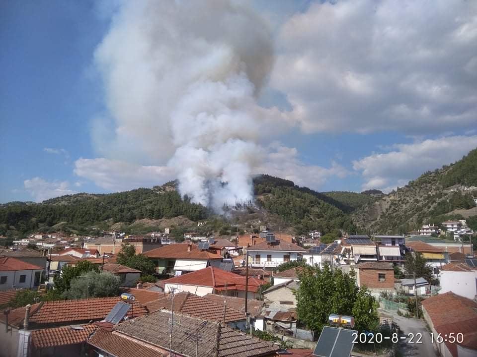 Πυρκαγιά σε δασική έκταση στην Ελασσόνα Λάρισας