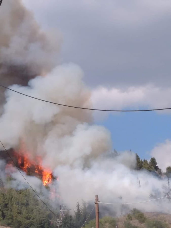 Πυρκαγιά σε δασική έκταση στην Ελασσόνα Λάρισας