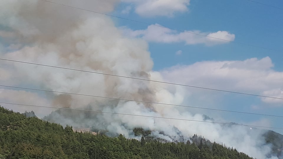 Πυρκαγιά σε δασική έκταση στην Ελασσόνα Λάρισας
