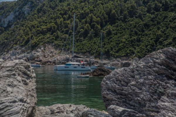 Δημήτρης Καστανάρας // LarissaPress