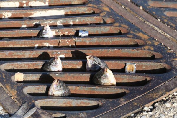 Φωτο: Λεωνίδας Τζέκας // LarissaPress