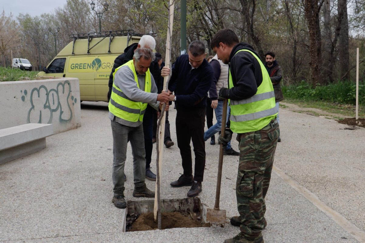 Λάρισα: 700 νέα δέντρα βελτιώνουν το μικροκλίμα της πόλης – Μεγάλη παρέμβαση στον Πηνειό (φωτο και βίντεο)
