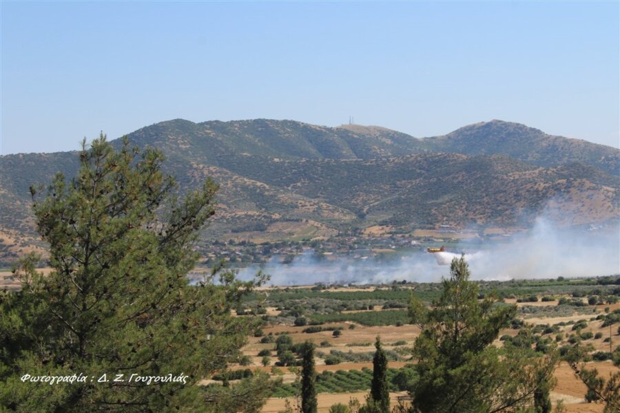 Γόννοι: Πυρκαγιά σε αγροτοδασική έκταση – Επιχειρούν και δύο αεροσκάφη για την κατάσβεση (ΦΩΤΟ)
