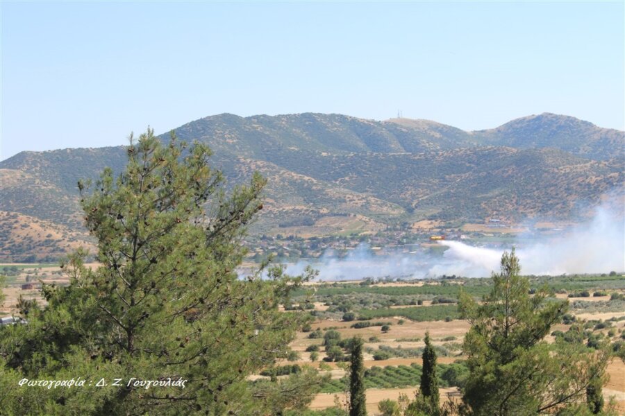 Υπό μερικό έλεγχο η πυρκαγιά στους Γόννους