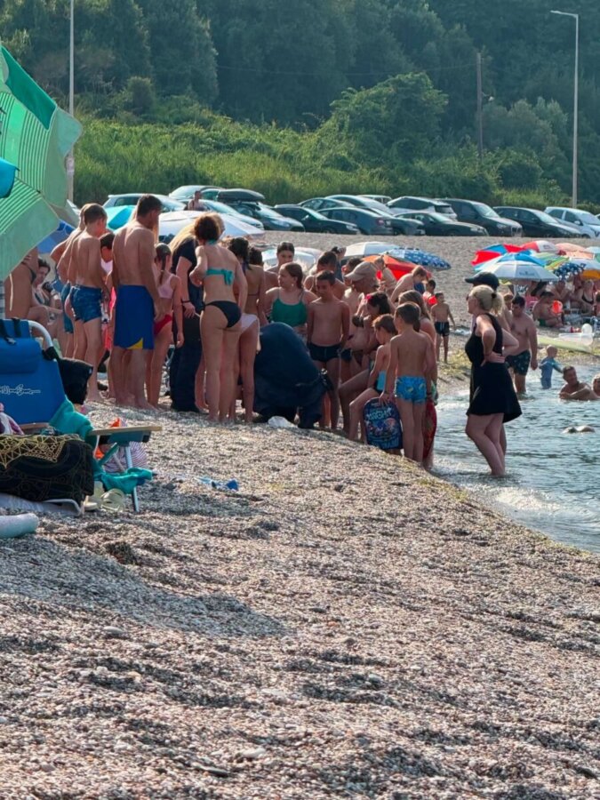 Λουόμενοι προσπάθησαν να σώσουν καρέτα καρέτα που ξεβράστηκε στην παραλία Αγιοκάμπου (VIDEO)