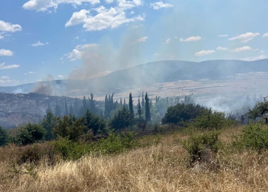 Φάρσαλα: Χωρίς ενεργό μέτωπο η φωτιά στη θέση «Κυρά» – Στο σημείο παραμένουν ισχυρές δυνάμεις