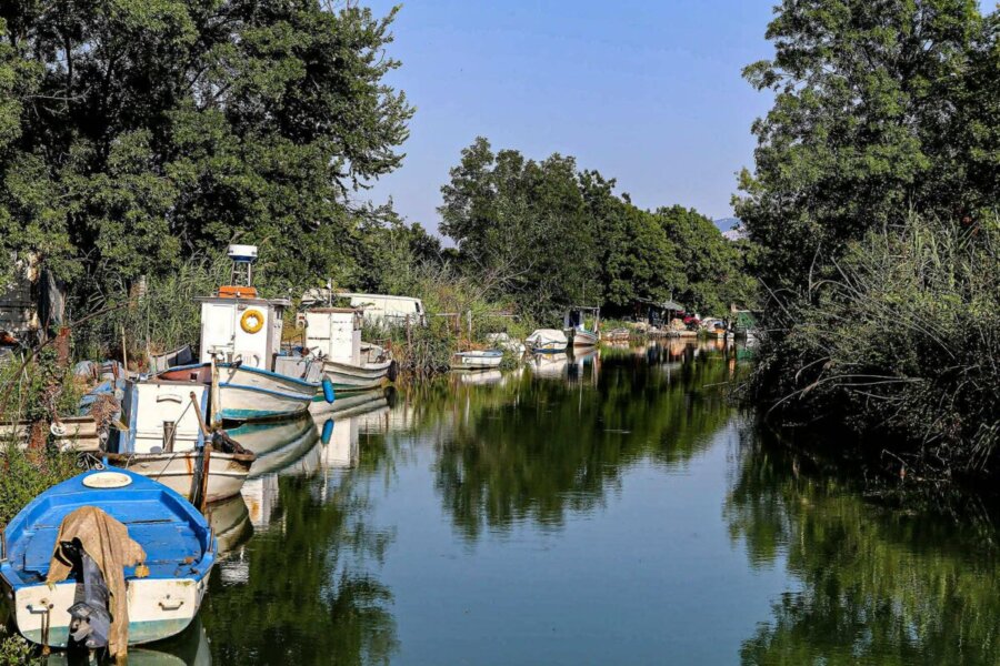 Το Δέλτα του Πηνειού και ο «Ιταλός»