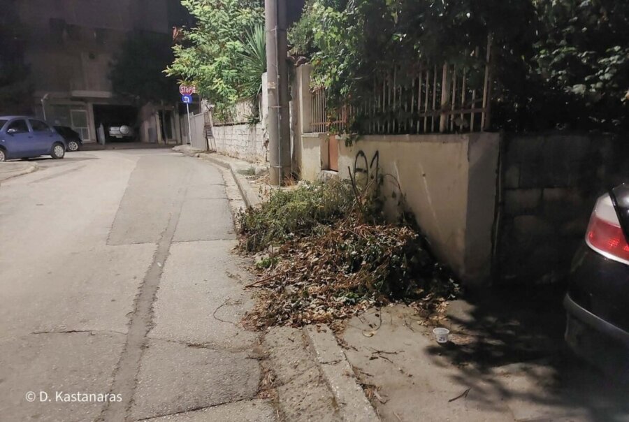 Βραδινή βόλτα ανάμεσα στα… χόρτα (φωτο)